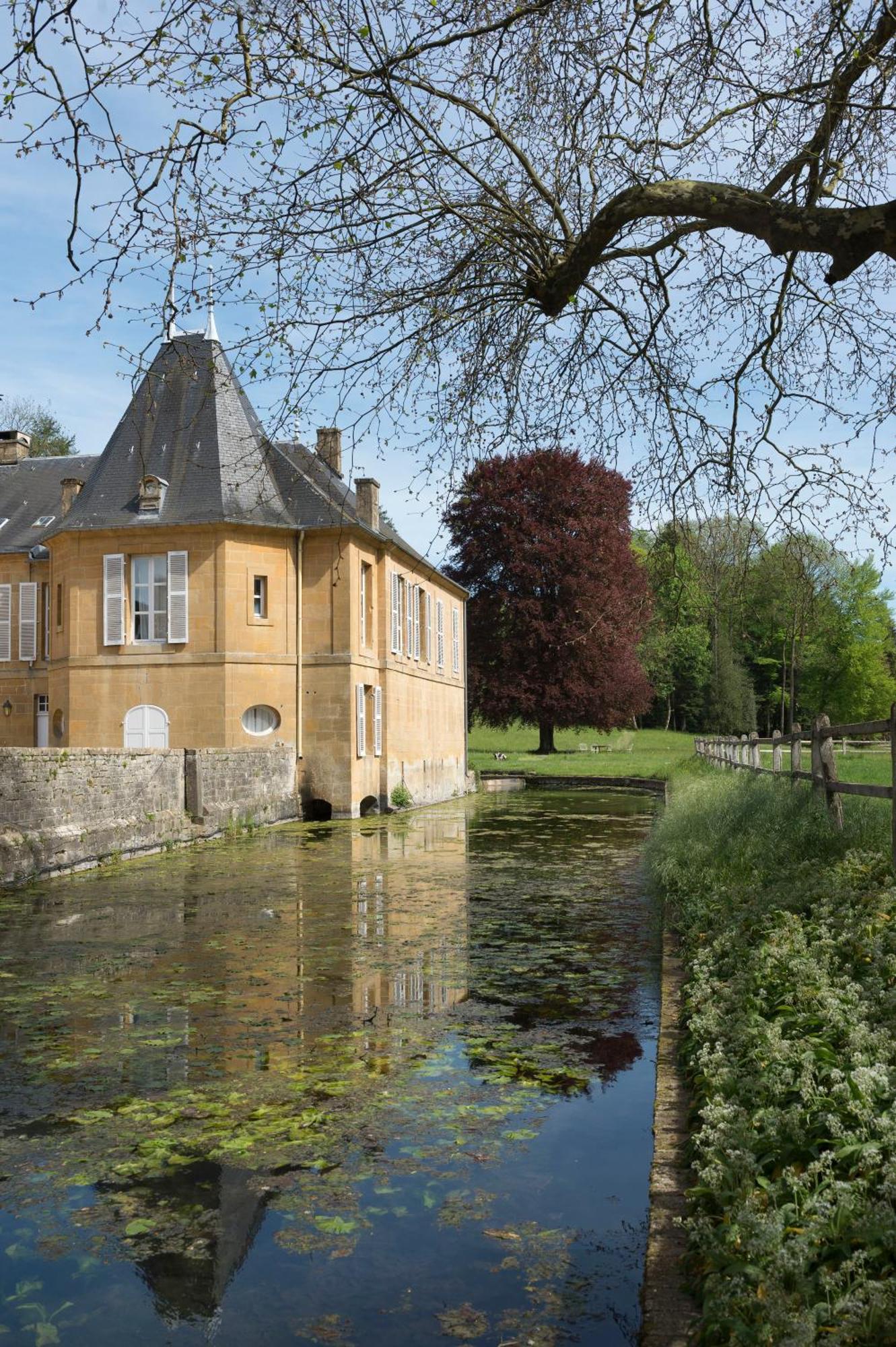 Chateau De Martigny Colmey Екстер'єр фото